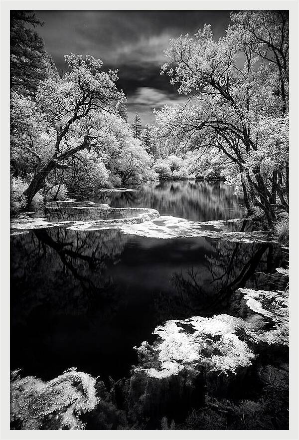Five Flower Lake Reflections