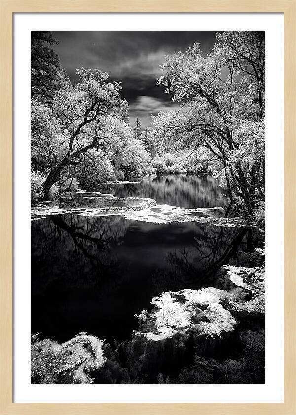 Five Flower Lake Reflections