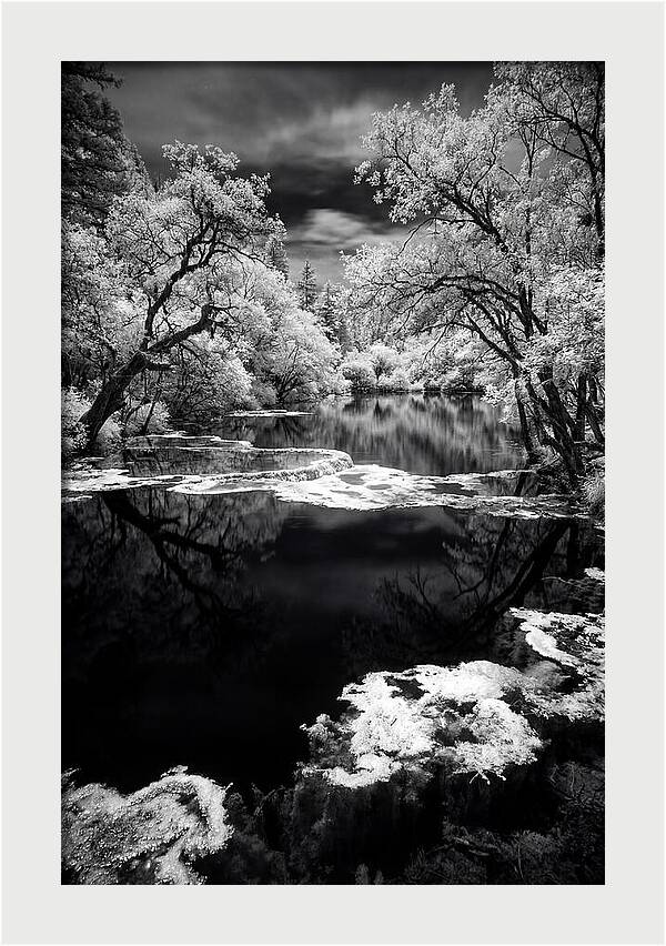 Five Flower Lake Reflections