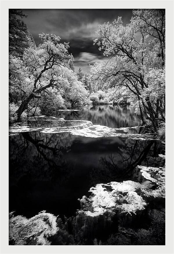 Five Flower Lake Reflections