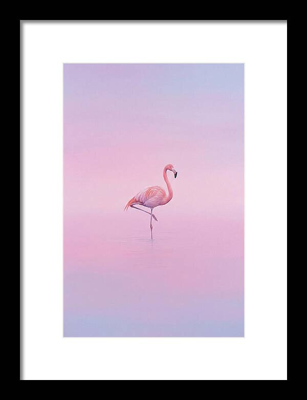 Flamingo In Serene Waters
