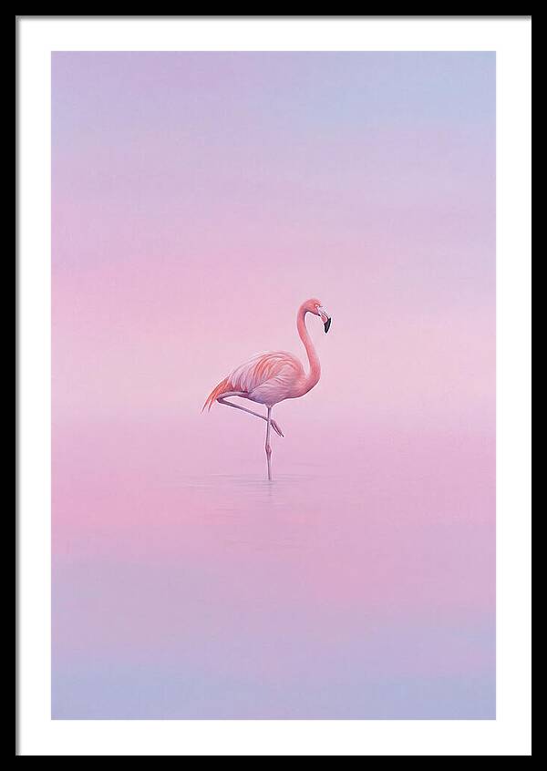 Flamingo In Serene Waters
