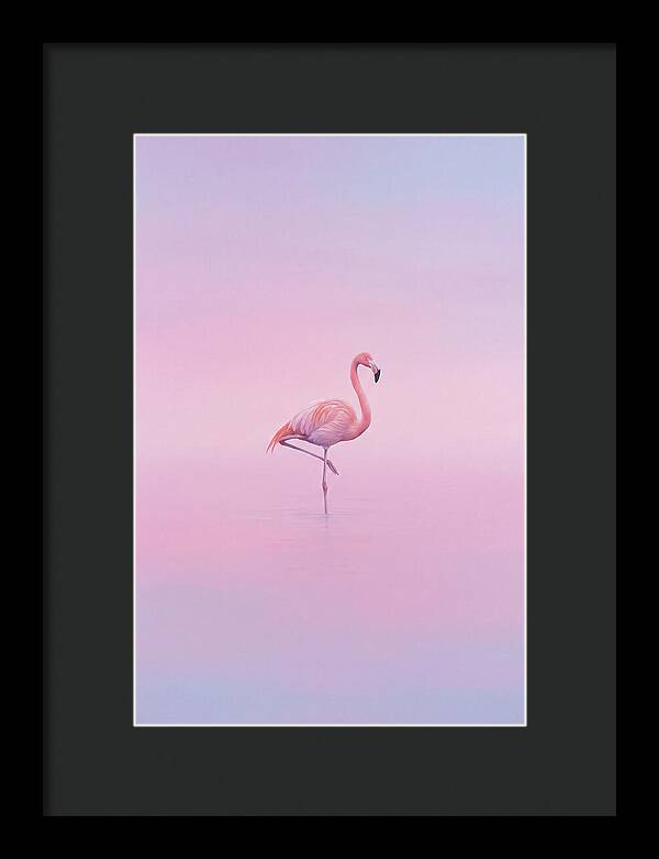 Flamingo In Serene Waters