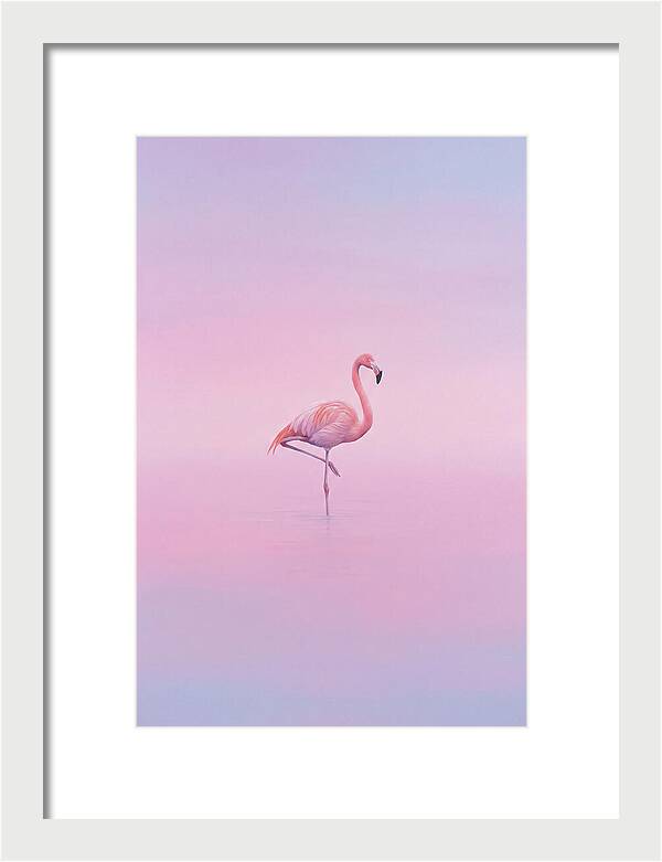 Flamingo In Serene Waters