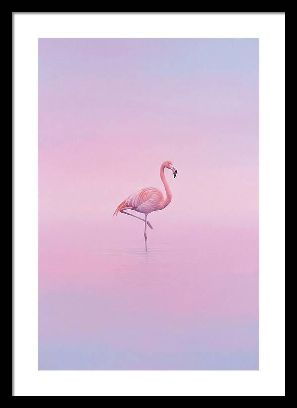 Flamingo In Serene Waters