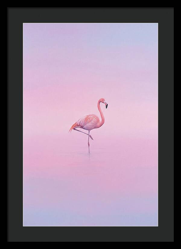 Flamingo In Serene Waters