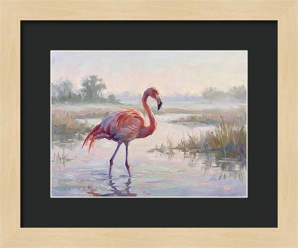 Flamingo In Tranquil Waters