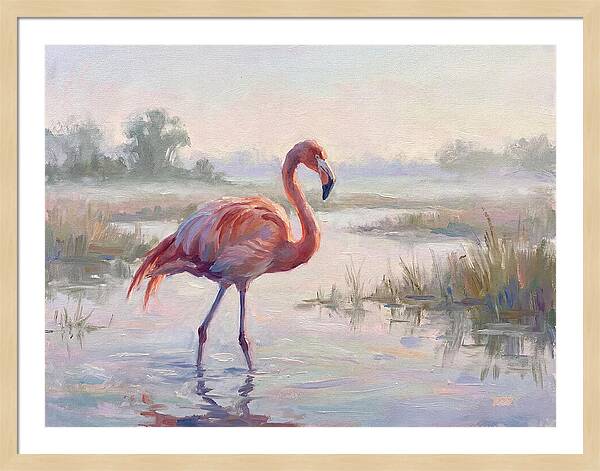 Flamingo In Tranquil Waters