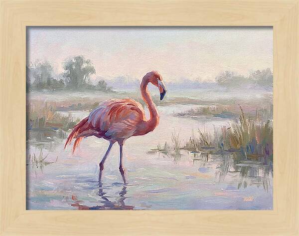 Flamingo In Tranquil Waters