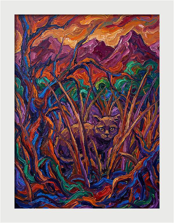 Flat Headed Cat Amongst Vivid Wilderness