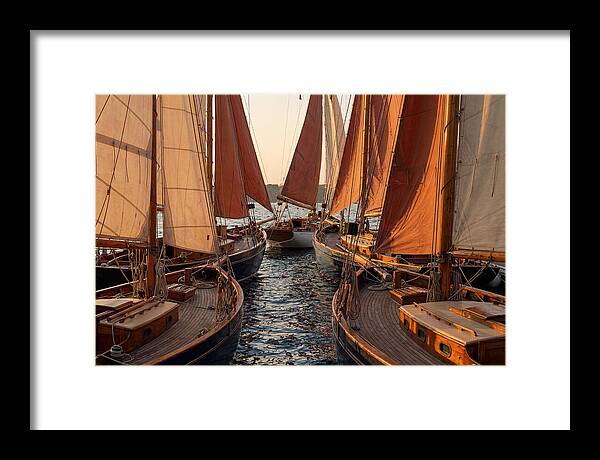 Fleet Of Sailboats Gliding Gracefully