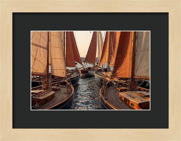 Fleet Of Sailboats Gliding Gracefully