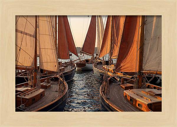 Fleet Of Sailboats Gliding Gracefully