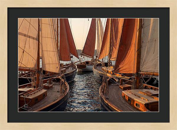 Fleet Of Sailboats Gliding Gracefully