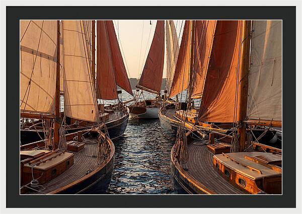 Fleet Of Sailboats Gliding Gracefully