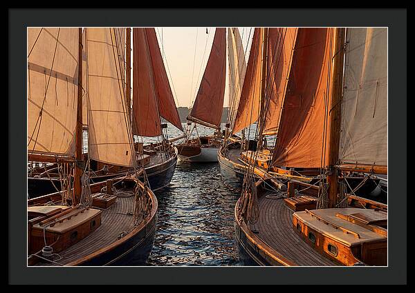 Fleet Of Sailboats Gliding Gracefully