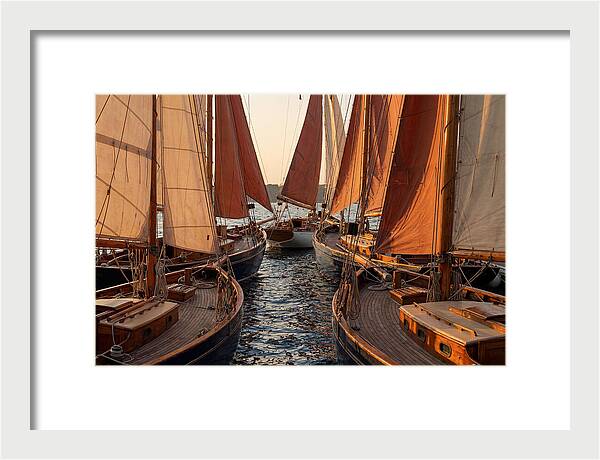 Fleet Of Sailboats Gliding Gracefully