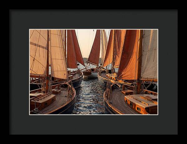 Fleet Of Sailboats Gliding Gracefully