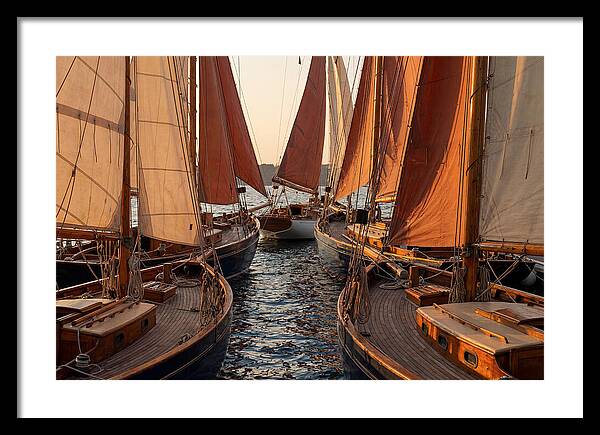 Fleet Of Sailboats Gliding Gracefully
