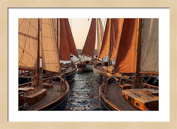 Fleet Of Sailboats Gliding Gracefully
