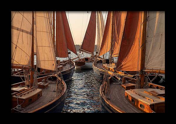 Fleet Of Sailboats Gliding Gracefully