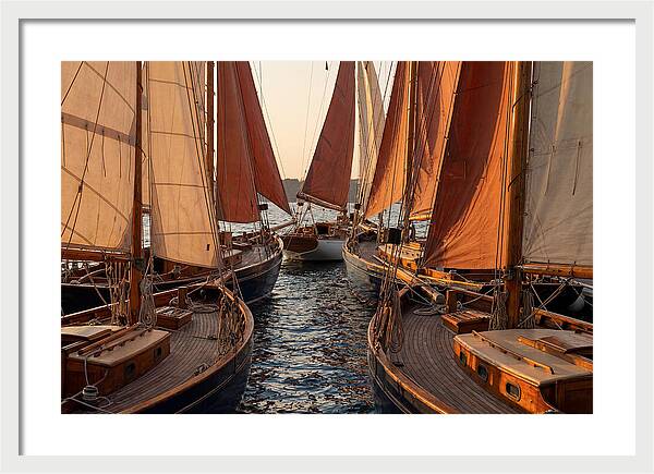 Fleet Of Sailboats Gliding Gracefully