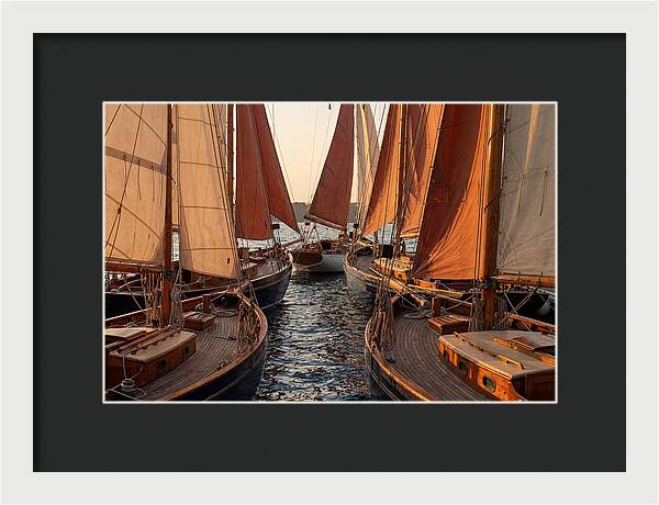 Fleet Of Sailboats Gliding Gracefully