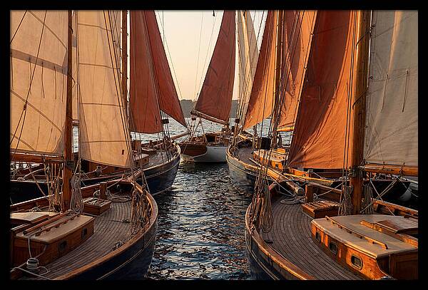 Fleet Of Sailboats Gliding Gracefully