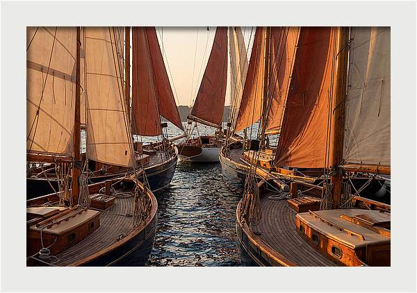 Fleet Of Sailboats Gliding Gracefully
