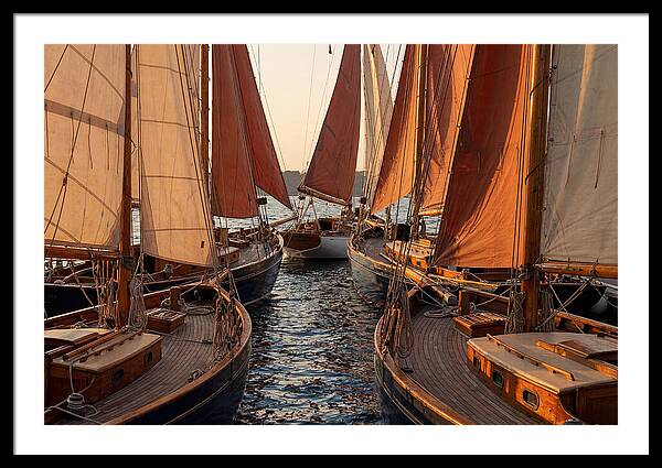 Fleet Of Sailboats Gliding Gracefully