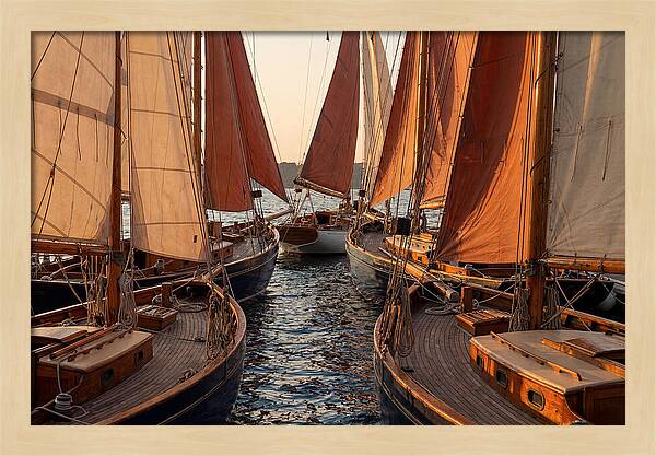 Fleet Of Sailboats Gliding Gracefully