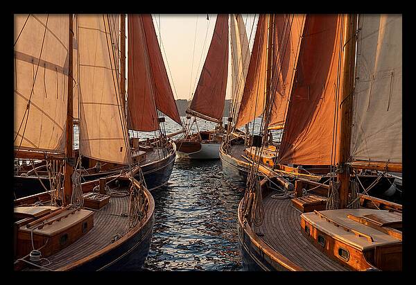 Fleet Of Sailboats Gliding Gracefully