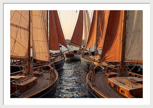 Fleet Of Sailboats Gliding Gracefully
