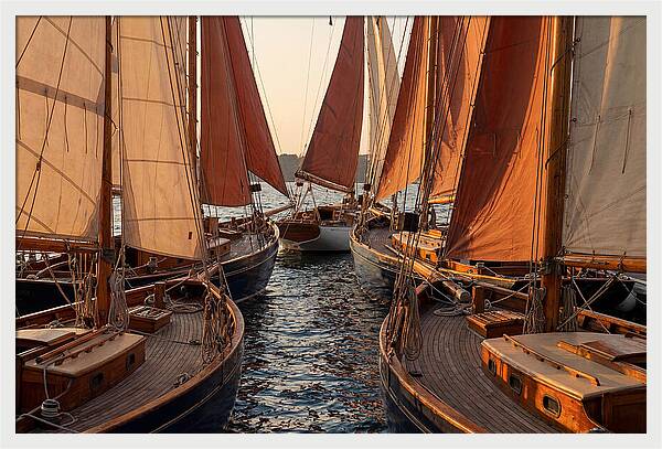 Fleet Of Sailboats Gliding Gracefully