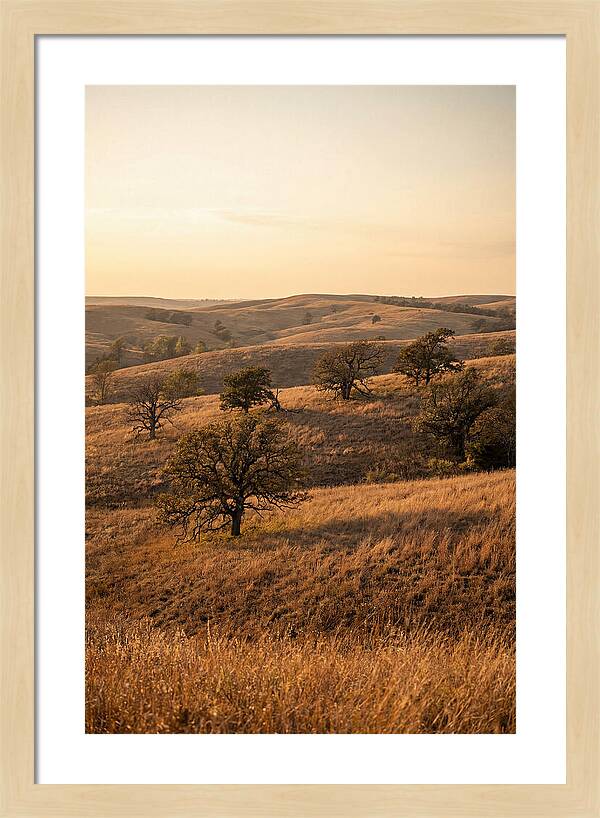 Flint Hills Serenity