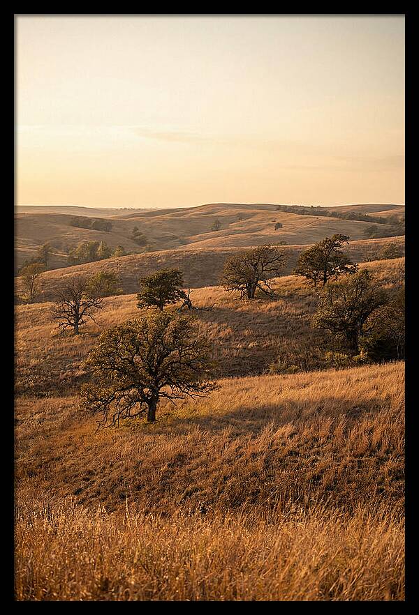 Flint Hills Serenity