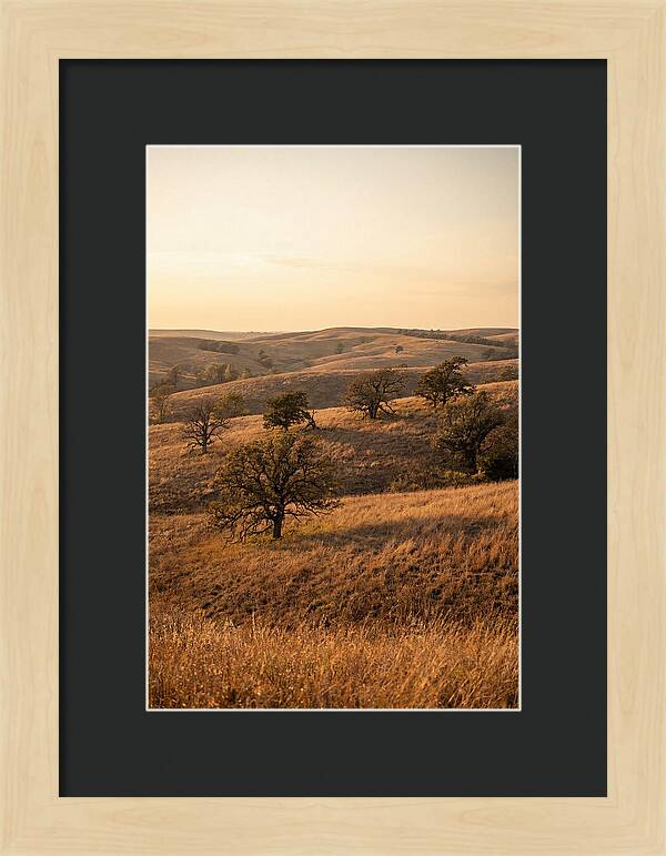 Flint Hills Serenity