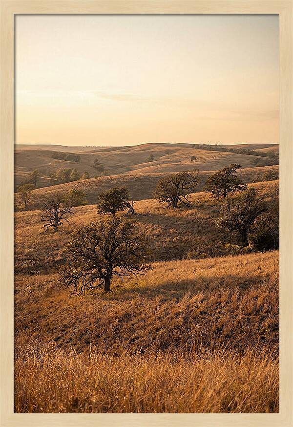 Flint Hills Serenity