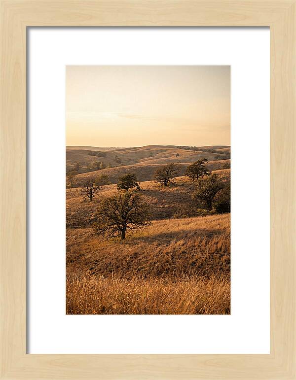 Flint Hills Serenity