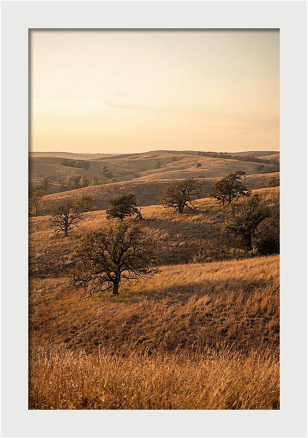 Flint Hills Serenity