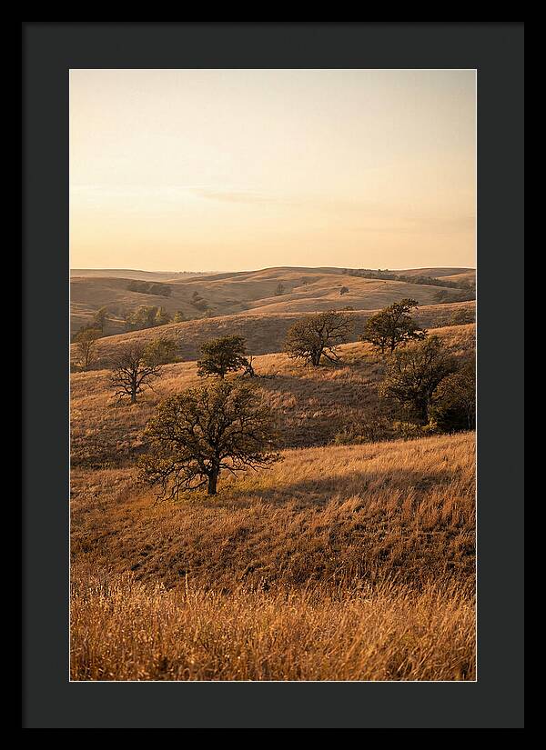 Flint Hills Serenity