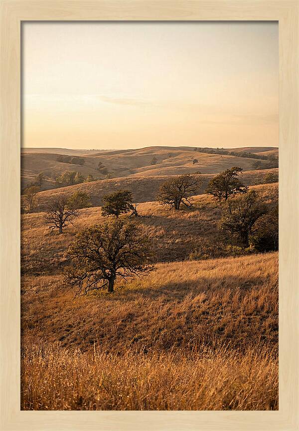 Flint Hills Serenity