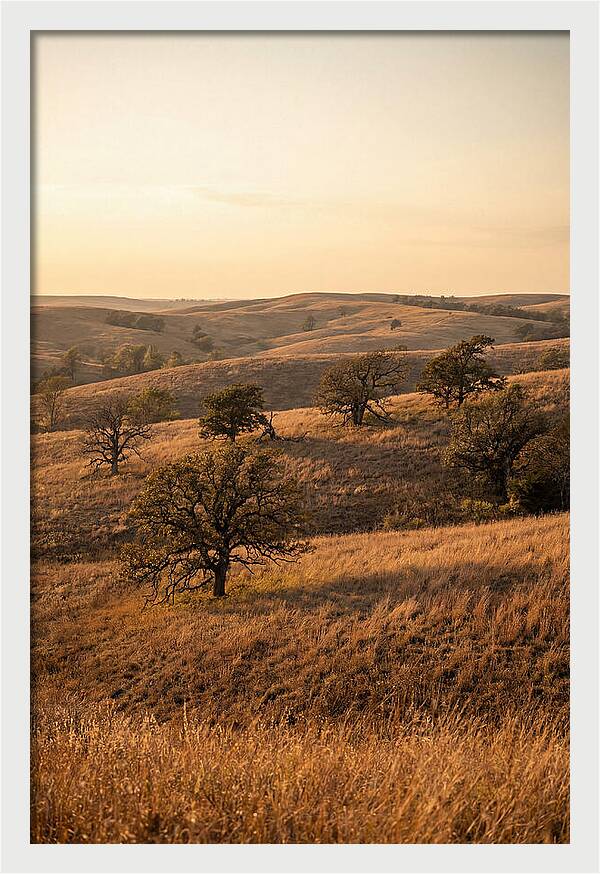 Flint Hills Serenity