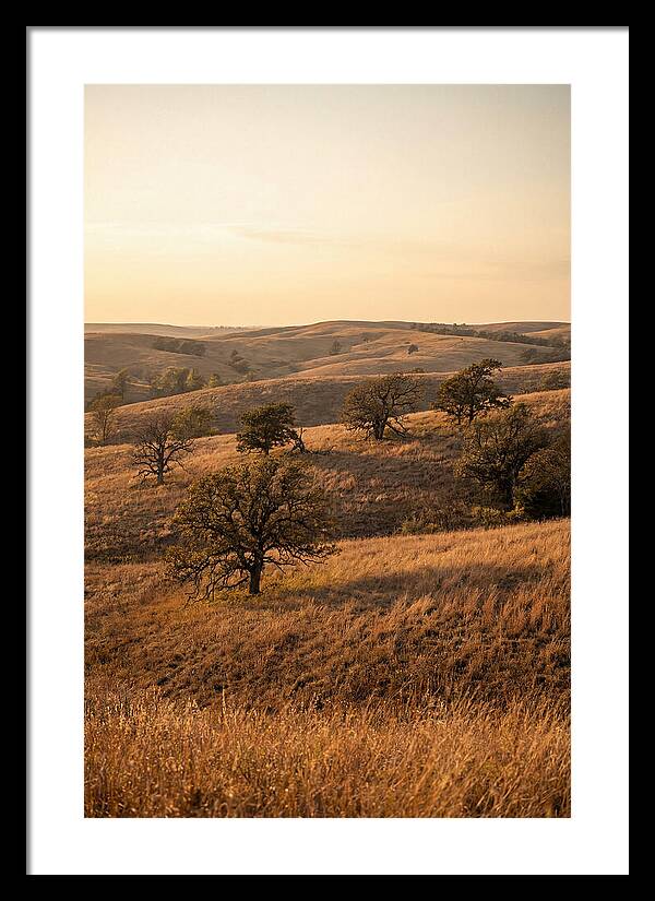 Flint Hills Serenity
