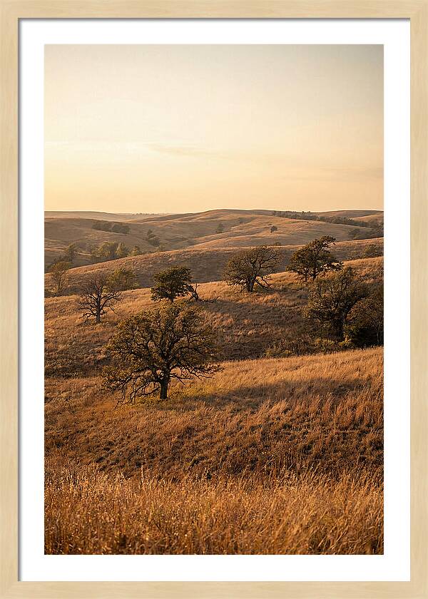 Flint Hills Serenity