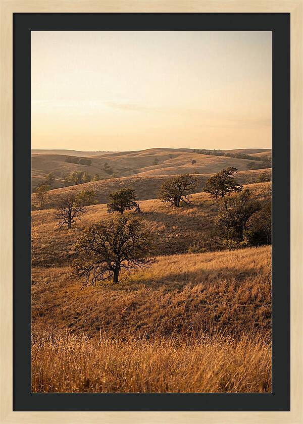 Flint Hills Serenity