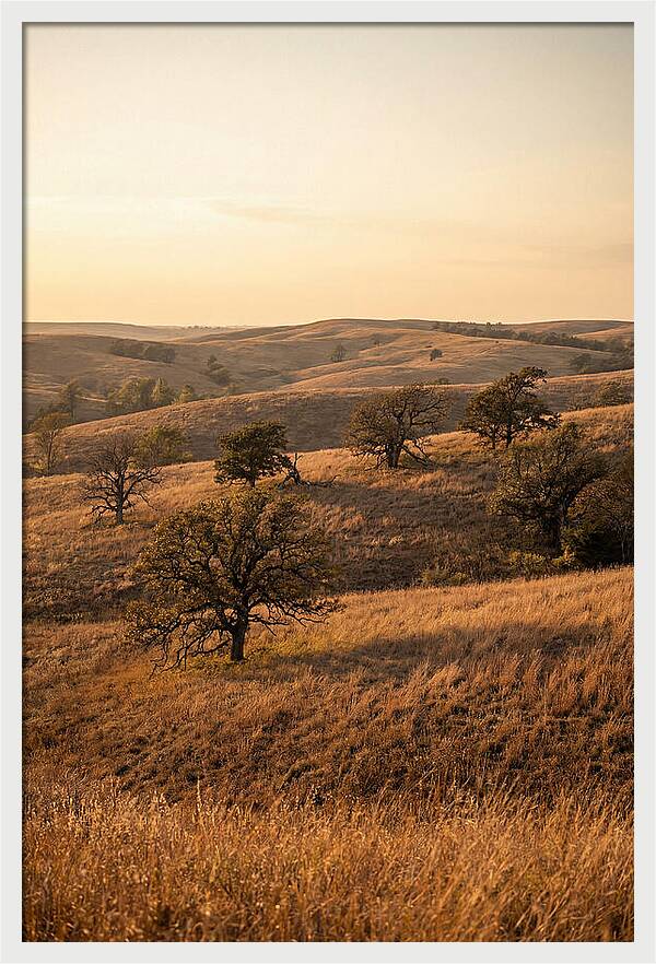 Flint Hills Serenity