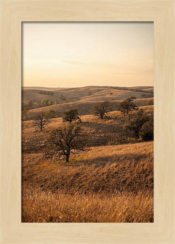 Flint Hills Serenity