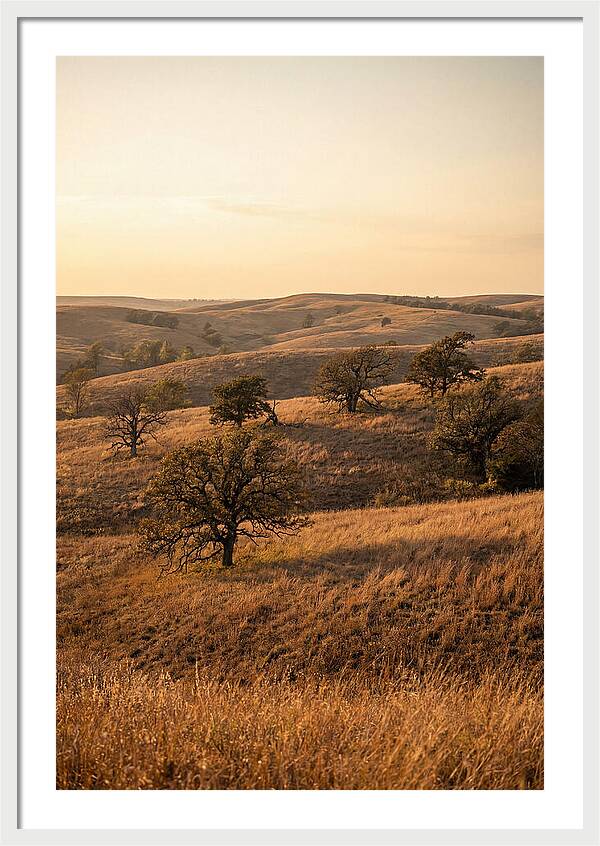 Flint Hills Serenity