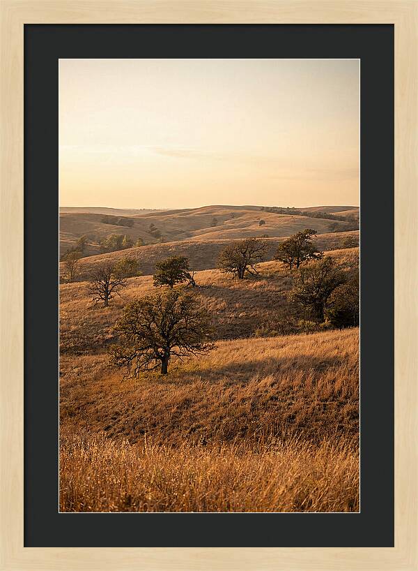 Flint Hills Serenity